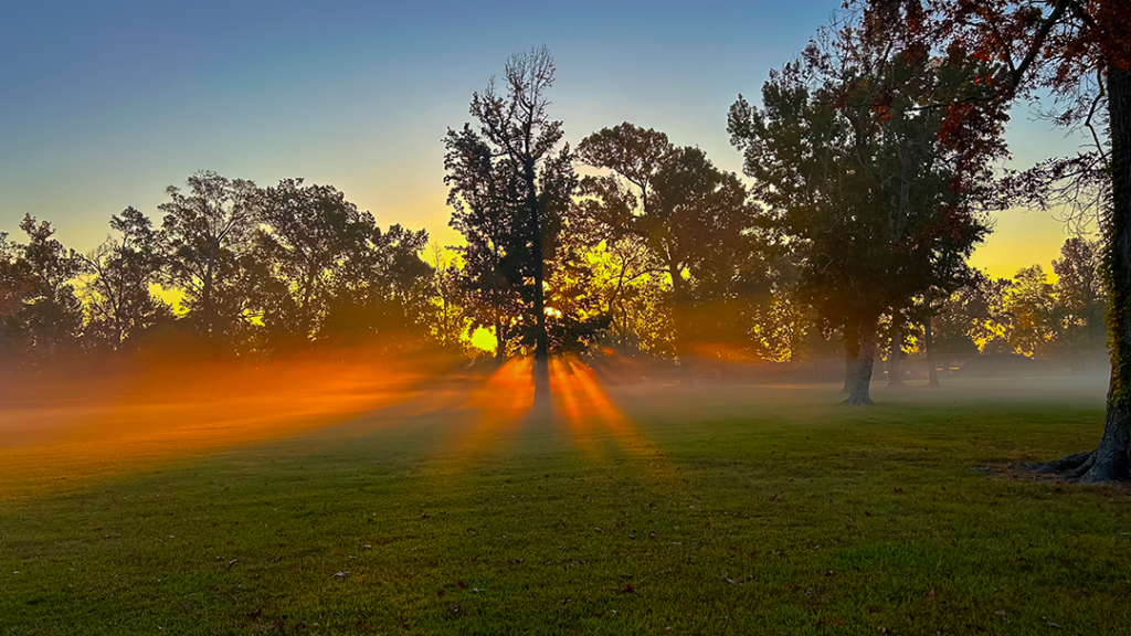 A serene sunrise at Jefferson Terrace Park in Baton Rouge, Louisiana, featuring golden light rays breaking through morning fog and trees.